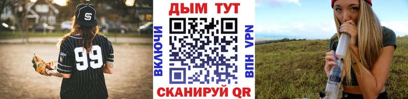 где продают наркотики  Шуя  мега зеркало  Конопля тримм 